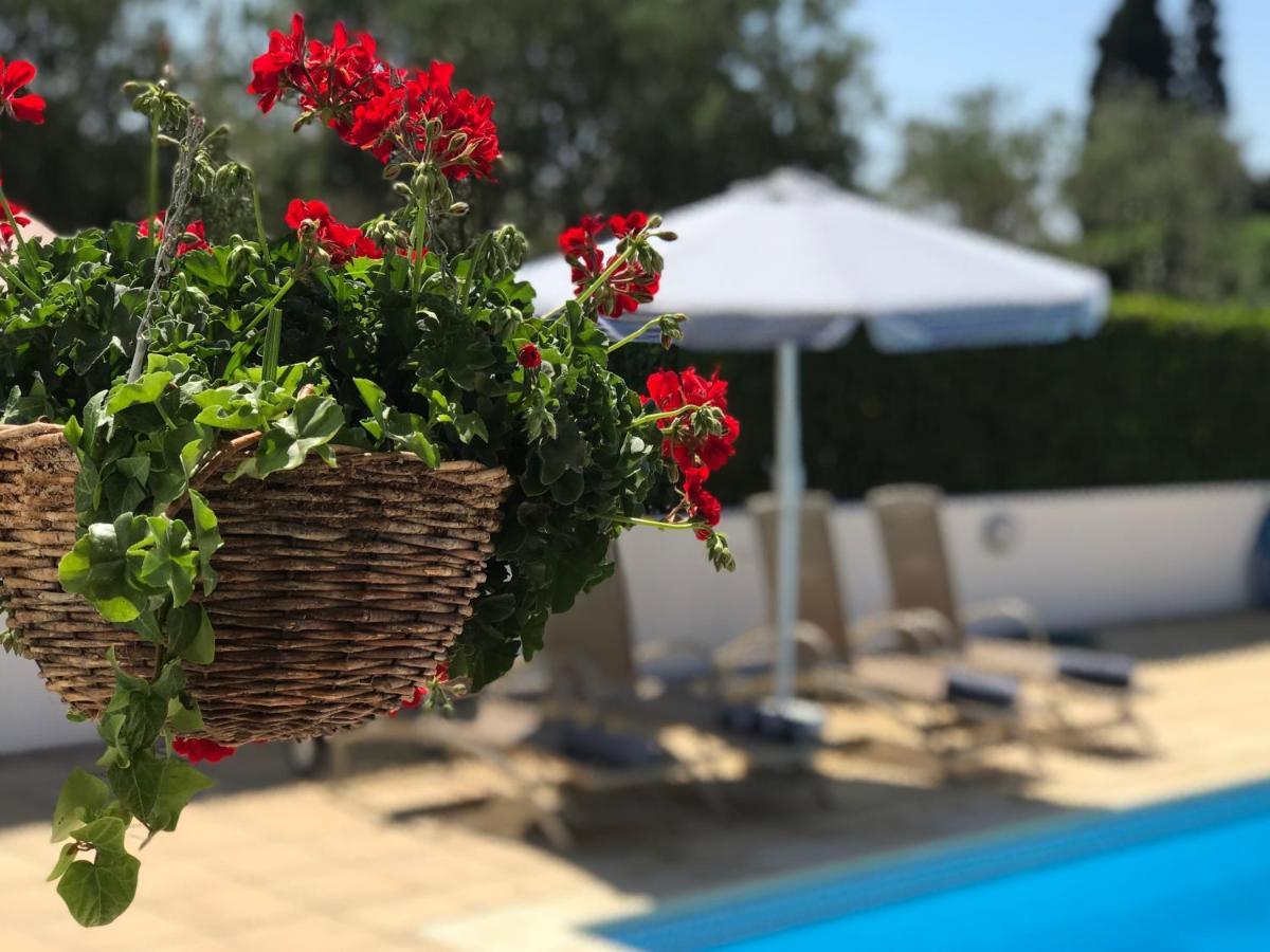 Villa Elia Bed And Breakfast Kiti Exteriér fotografie